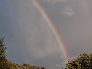 20261009_174736.jpg