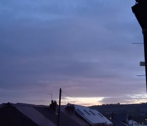 20261011_065054.jpg