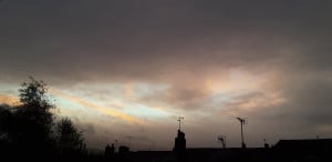 20261012_072216.jpg