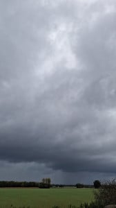 20261013_114526.jpg