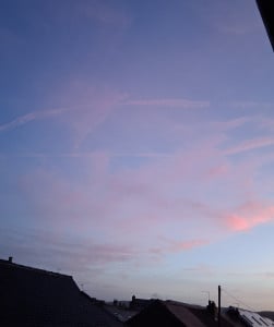 20261014_071447.jpg