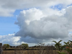 20261014_114956.jpg