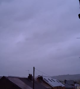 20261025_062635.jpg