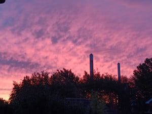 IMG20261024074252.jpg