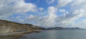 IMG_20261010_105634284.jpg