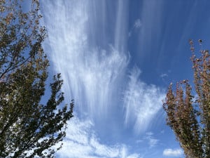 IMG_2579.jpeg