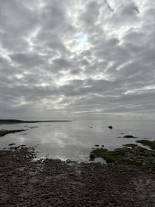 IMG_3154.jpeg