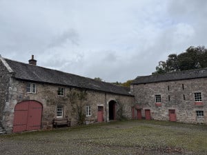 IMG_3205.jpeg