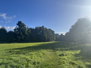 IMG_5527.jpeg