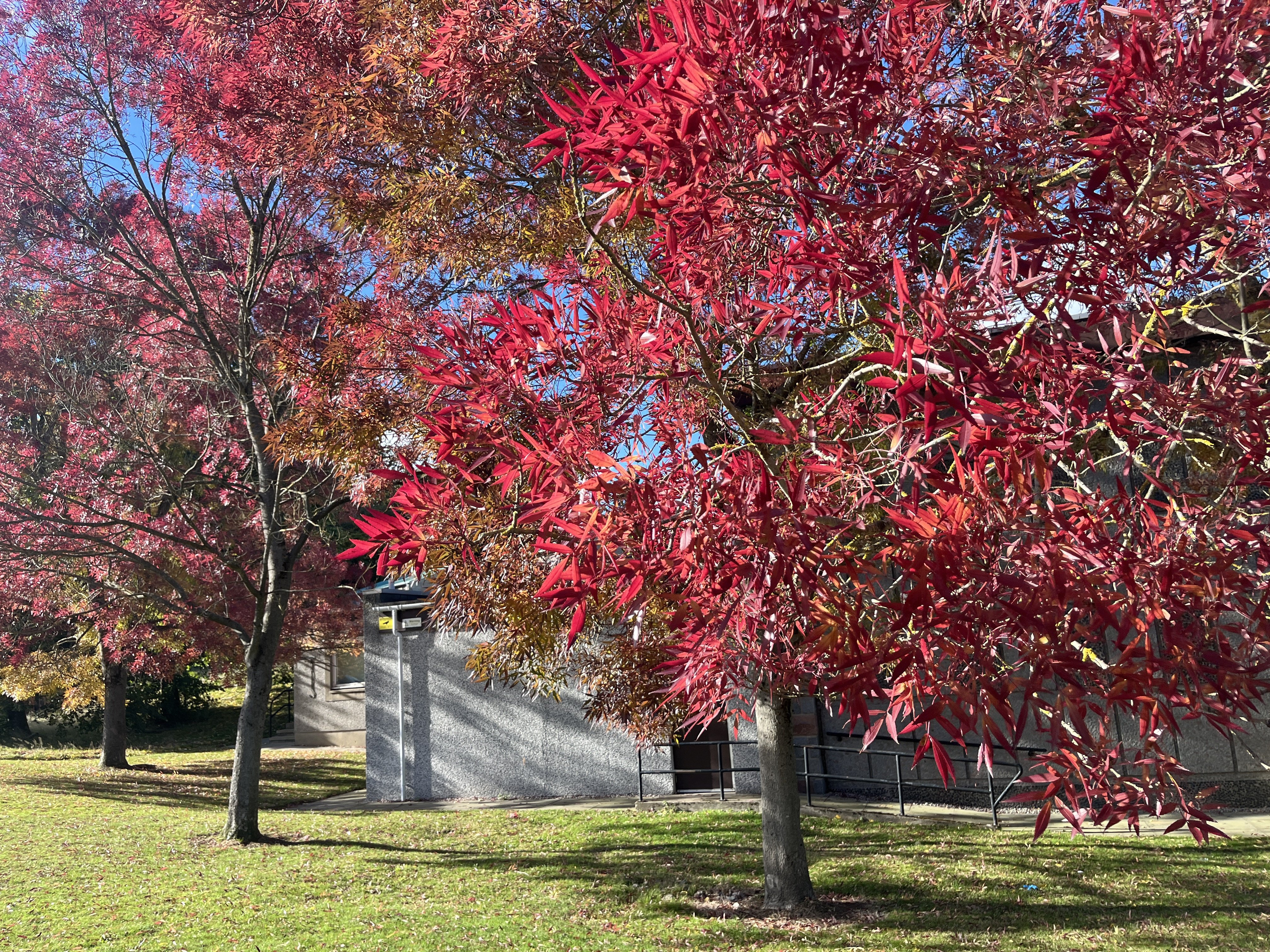 Autumn 2026 — Chat and Moans - Page 38 - Autumn Weather Discussion ...
