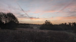 PXL_20261014_062417171.jpg