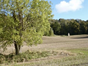 geograph-8434825-by-Alan-ODowd.jpg